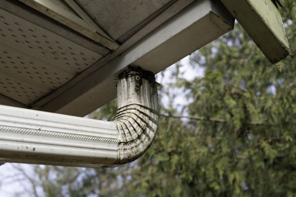 Cost of Roof Drain Replacement in Greenwood